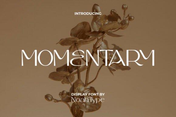 Momentary Font for Modern Digital Design