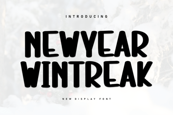 Newyear Wintreak for Bold Branding and Modern Typography